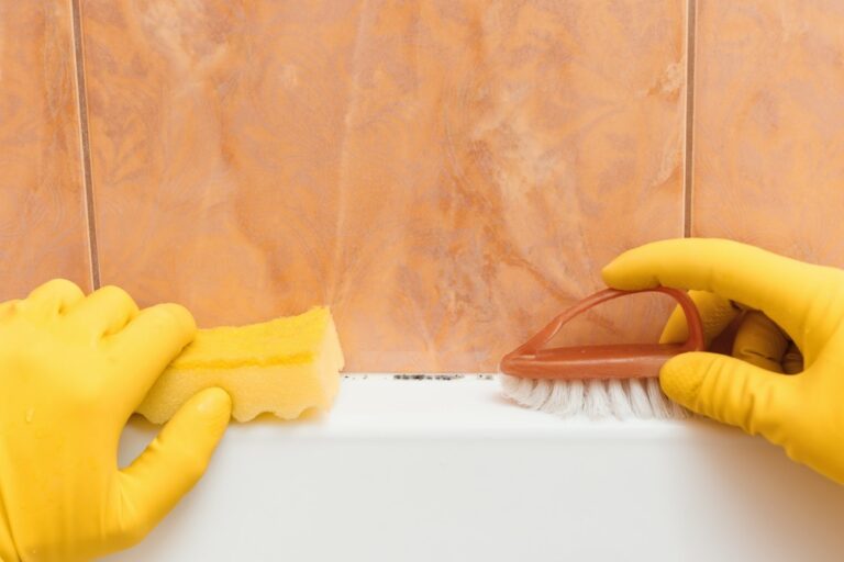 Cómo prevenir el moho en el baño o quitarlo si ya ha aparecido - Sanytol